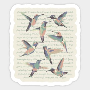 Hummingbird Info Sticker